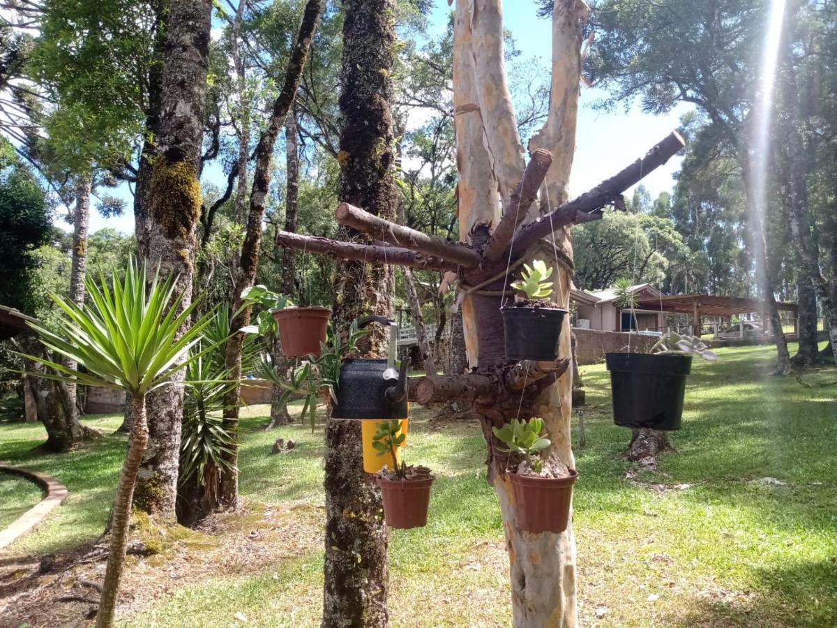 Quartos Recanto Da Natureza Interior กาเนรา ภายนอก รูปภาพ